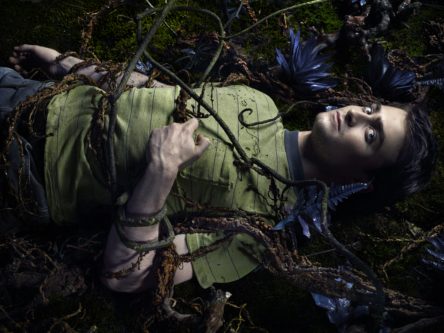 radcliffe_03-vines_0299web